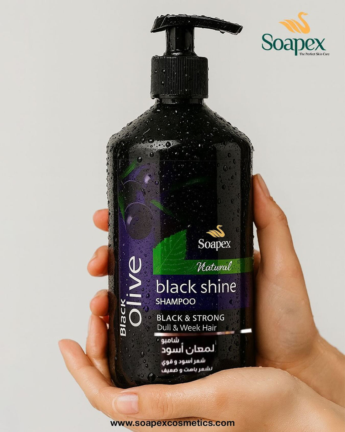 Soapex Black Olive Hair Shampoo 800 ML